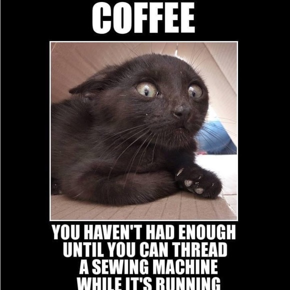 Meet your Posher, Bridget - Picture 4 of 5